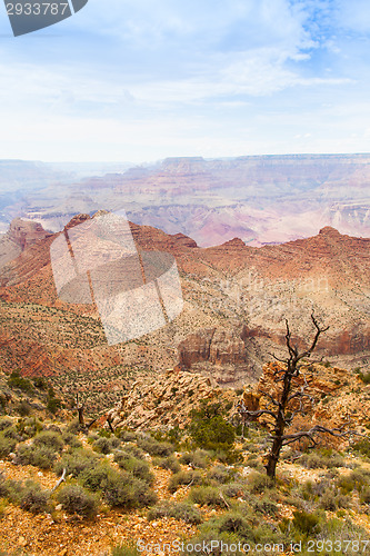 Image of Grand Canyon