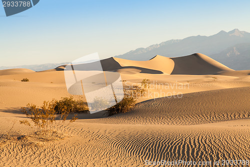 Image of Death Valley Desert