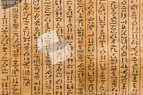 Image of Book of the Dead