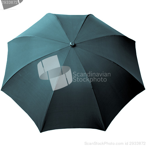 Image of Umbrella