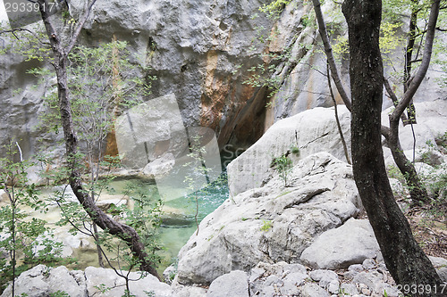 Image of Mountain Stream in the stone 