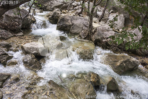 Image of Small Mountain Stream