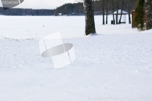 Image of Winter