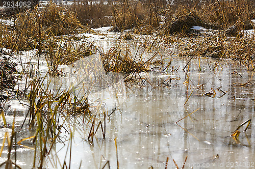 Image of Pond