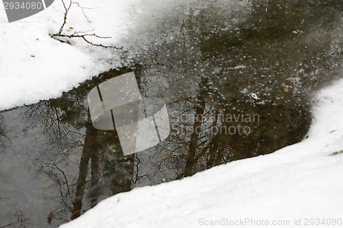 Image of Pond