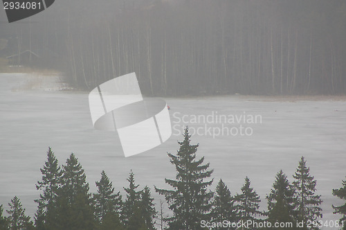 Image of Mist