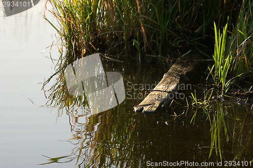 Image of Board in the river