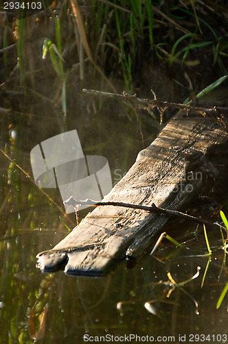 Image of Board in the river