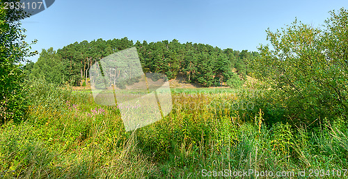 Image of Hill