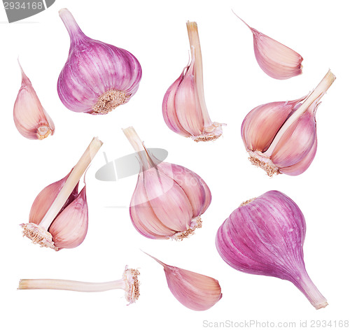 Image of Fresh garlic