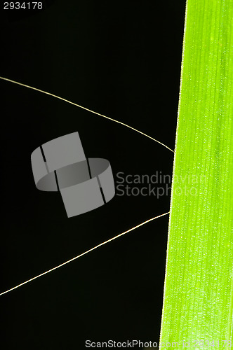 Image of Hiding