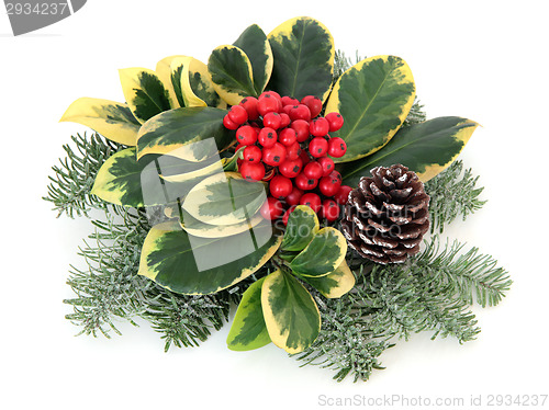 Image of Variegated Holly Decoration