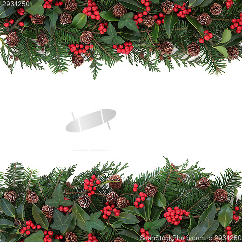 Image of Winter Floral Border
