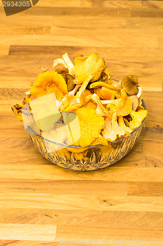 Image of Chanterelle