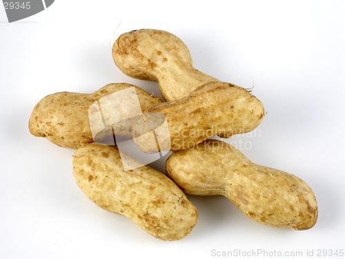 Image of Raw peanuts