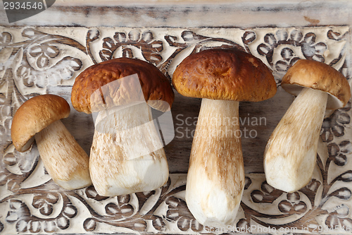 Image of Porcini mushrooms