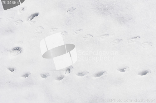 Image of Footprints