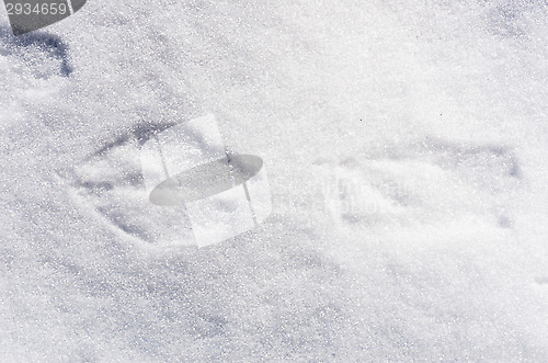 Image of Footprints