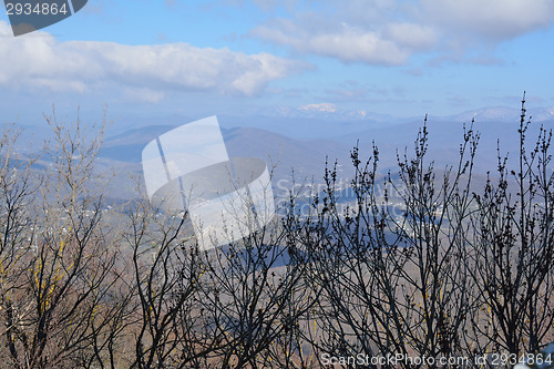 Image of Mountain view with trees