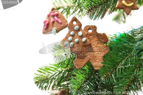 Image of Gingerbread cookies on christmas tree
