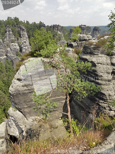 Image of Saxon Switzerland