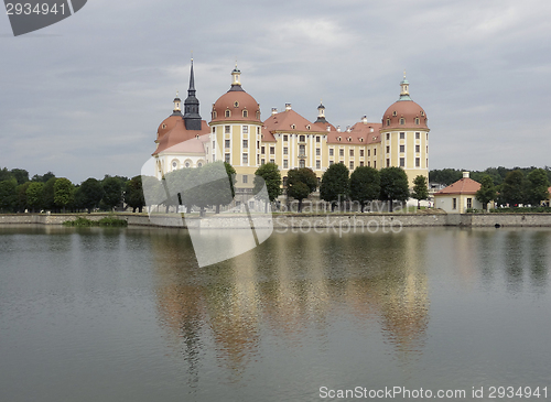 Image of Moritzburg Castle