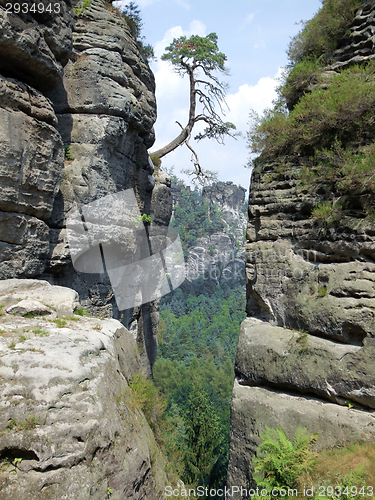 Image of Saxon Switzerland