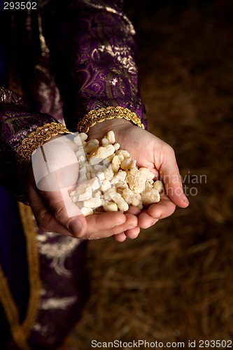 Image of Hands holding Frankincense