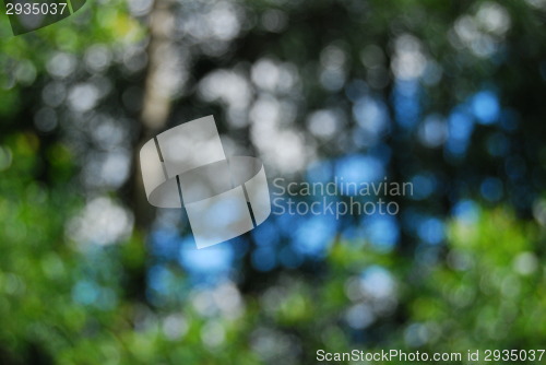 Image of bokeh