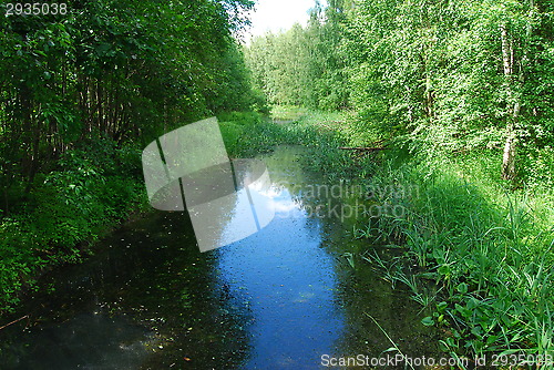 Image of River across forest in Helsinki