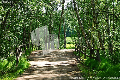 Image of Bridge in forest in Helsinki