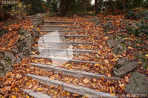 Image of Autumn stairs