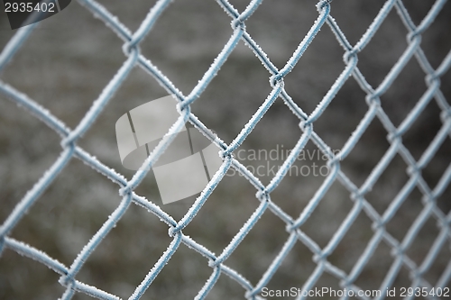 Image of Winter Fence