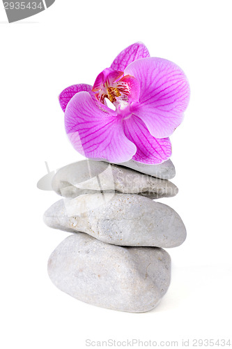 Image of Spa stones and purple orchid