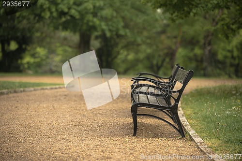 Image of Stylish bench in autumn park