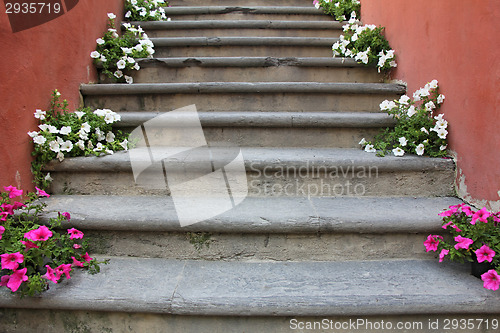 Image of Flowers on stairs