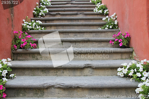 Image of Flowers on stairs