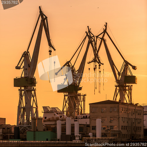 Image of Industrial cargo cranes in the dock