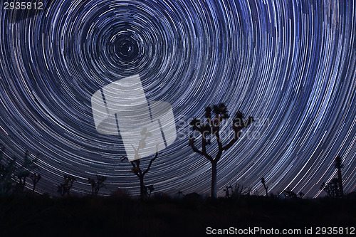 Image of Star Trails and Milky Way in Joshua Tree National Park