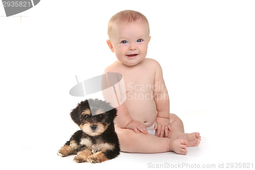 Image of Adorable Baby Boy With His Pet Teacup Yorkie Puppy