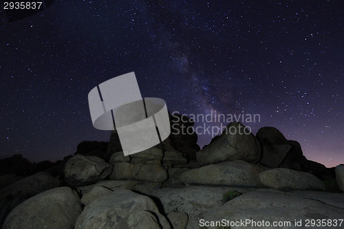 Image of Star Trails and Milky Way in Joshua Tree National Park