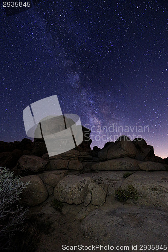 Image of Star Trails and Milky Way in Joshua Tree National Park