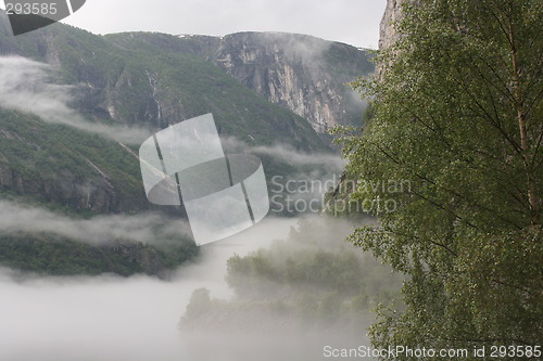 Image of Fog in Norway