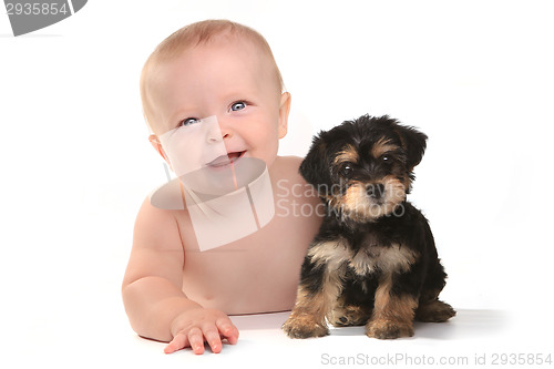 Image of Adorable Baby Boy With His Pet Teacup Yorkie Puppy