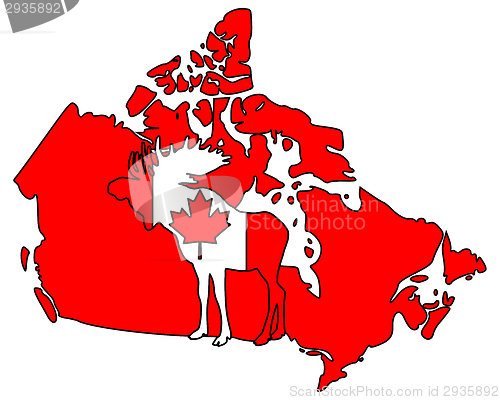 Image of Canadian moose