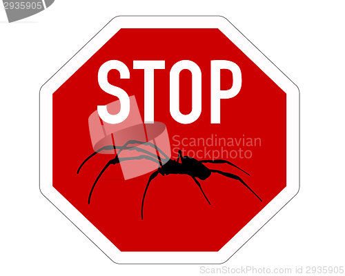 Image of Stop sign for spiders