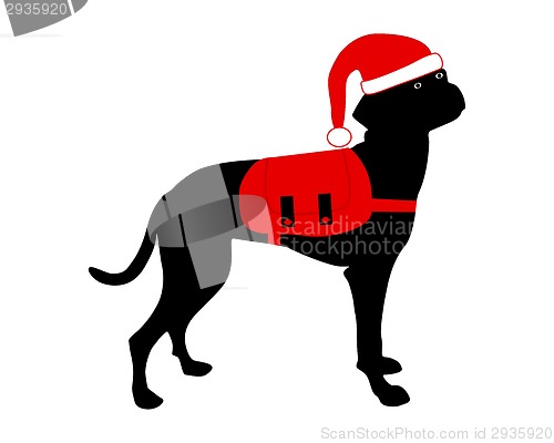 Image of Dog with christmas cap and rucksack