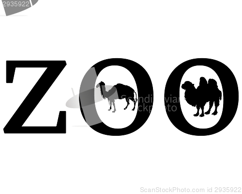 Image of Zoo animals