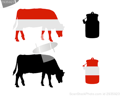Image of Austrian milk cow