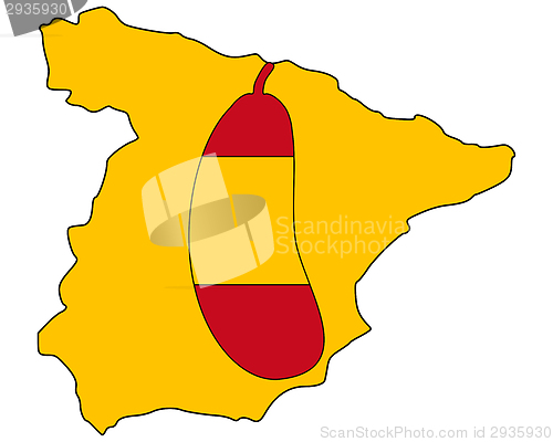 Image of Spanish Aubergine